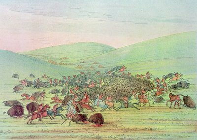 Minatarees atacando búfalos a caballo de George Catlin